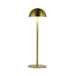 Gold Cordless Lamp
